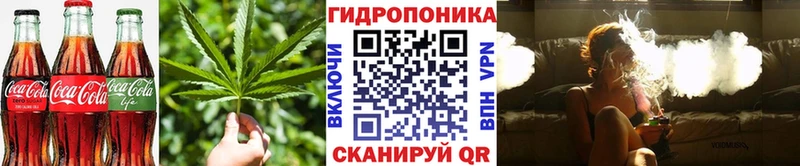 Canna-Cookies конопля Нефтеюганск