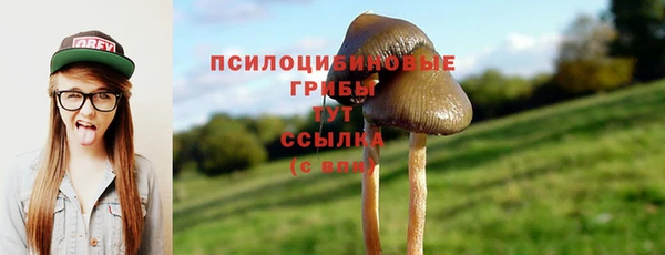 mix Абинск